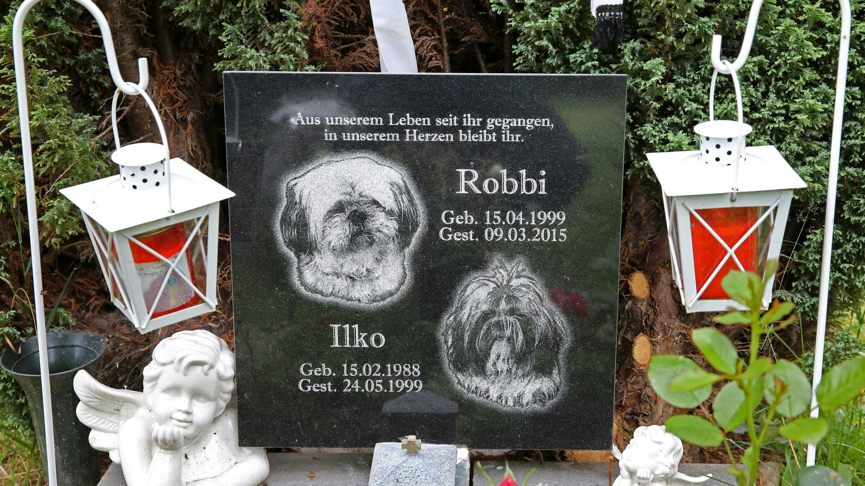 ABD0002_20150725 - Ein Grab auf dem Tierfriedhof von Manfred Schulz in Klein Kussewitz bei Rostock (Mecklenburg-Vorpommern), aufgenommen am 23.07.2015. Die Beisetzungen auf dem 2.000 Quadratmeter großen Tierfriedhof sind feierlich. Es gibt eine Trauerhalle und auf Wunsch bahrt Schulz die geliebten Haustiere auf. Die Särge baut er in jeder Größe selbst. Foto: Bernd Wüstneck/dpa (zu dpa "Erdgrab oder Urne - Haustierbesitzer haben die Wahl" am 25.07.2015) +++(c) dpa - Bildfunk+++