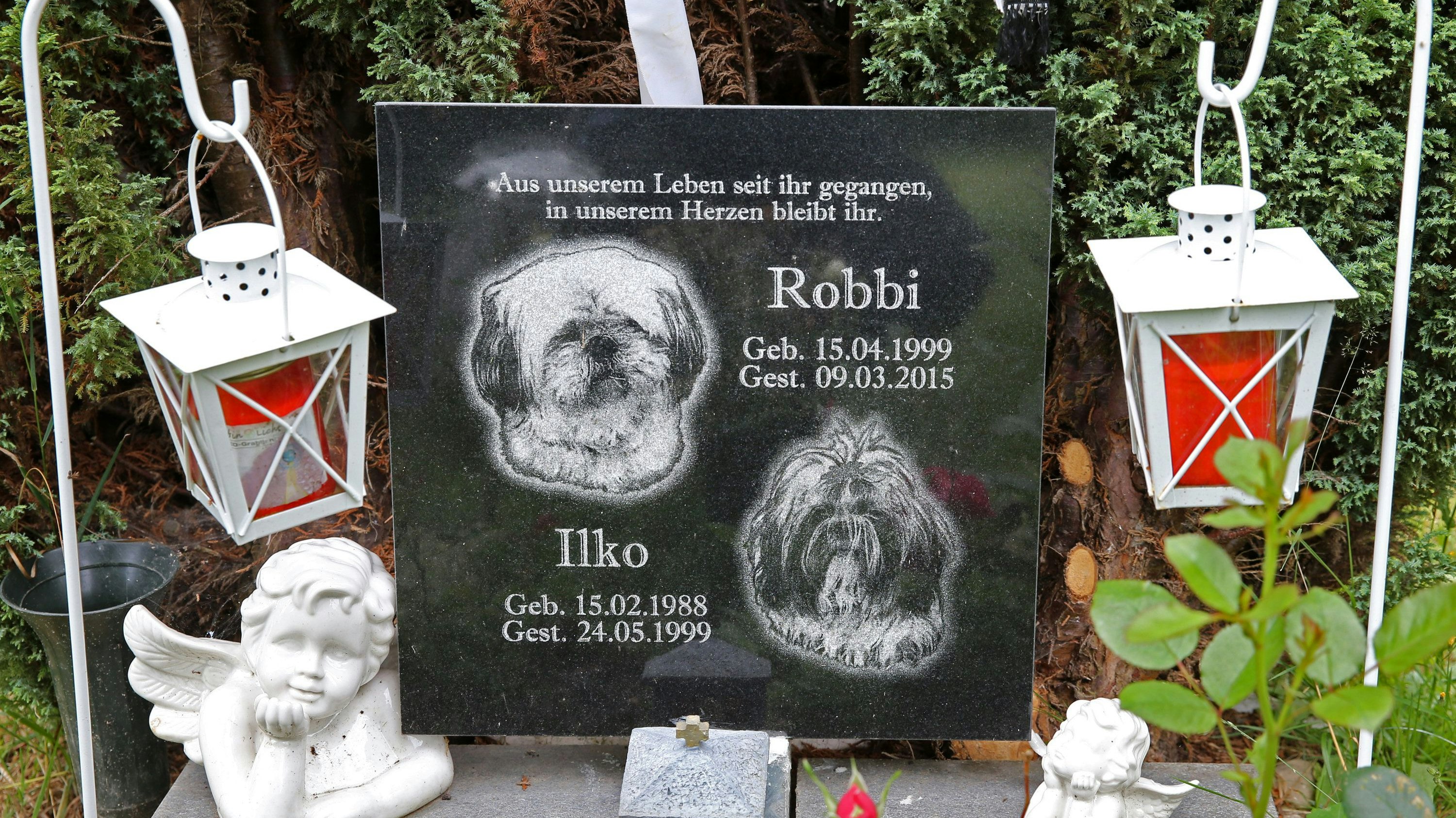 Heute.at - Tod von Haustier trifft härter als menschlicher Verlust