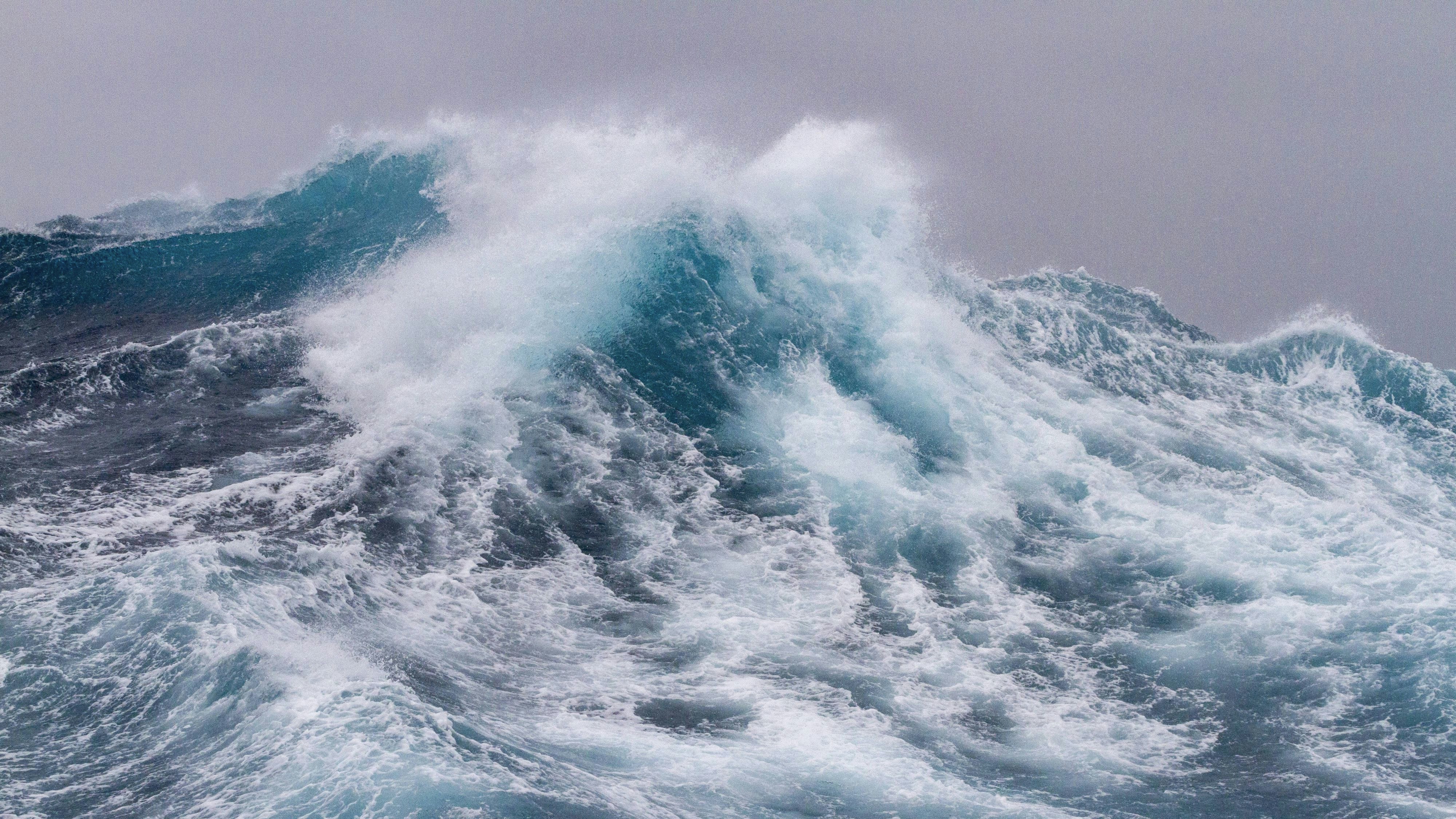 Heute.at - Übernehmen Verantwortung für den Schutz der Weltmeere