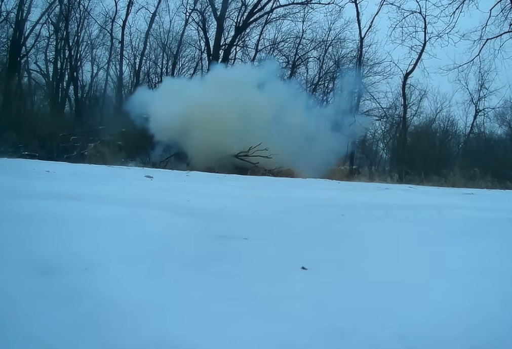 Heute.at - Extrem-Frost in USA – Bäume explodieren