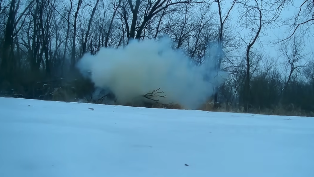 Heute.at - Extrem-Frost in USA – Bäume explodieren in der Kälte