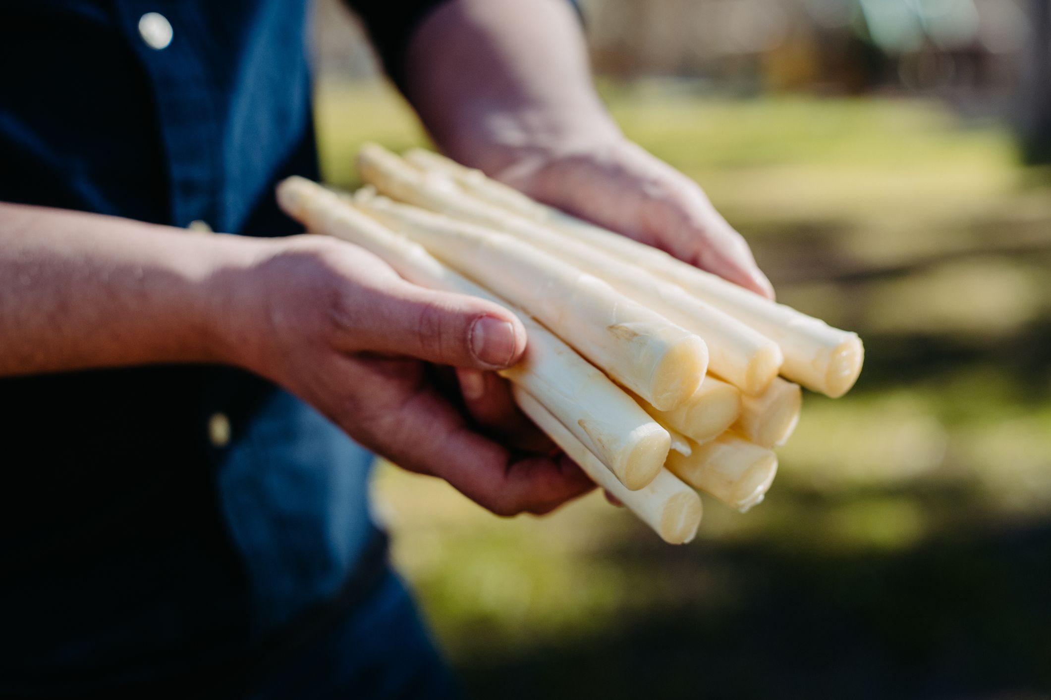 Mehrwertsteuer-reduzierter Spargel: "Ein Saison-Gemüse, das in guten Jahren zwei Monate lang so tut, als wäre es Grundnahrung"