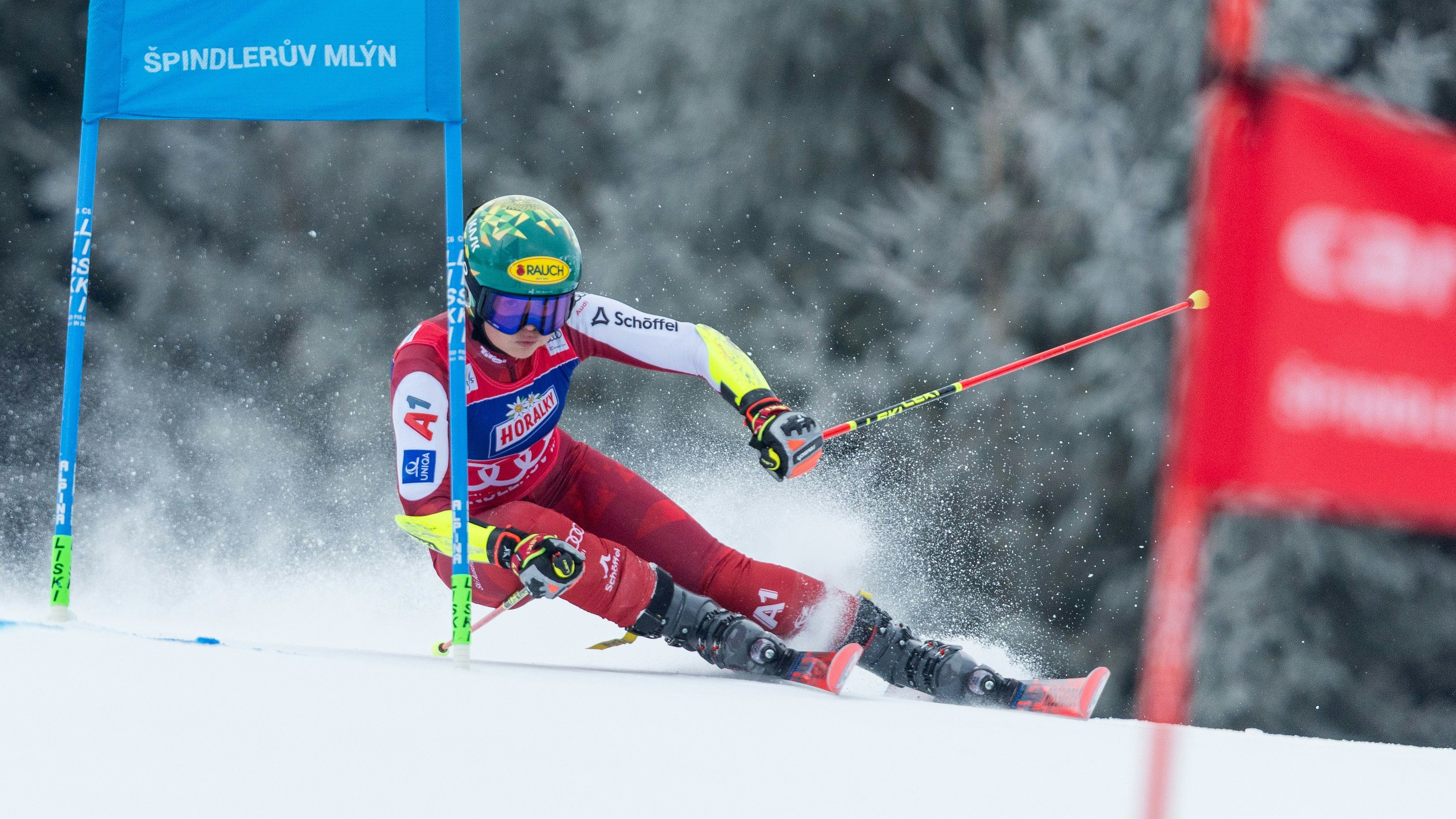 Heute.at - RTL zum Nachlesen: Scheib ist raus, Hector siegt