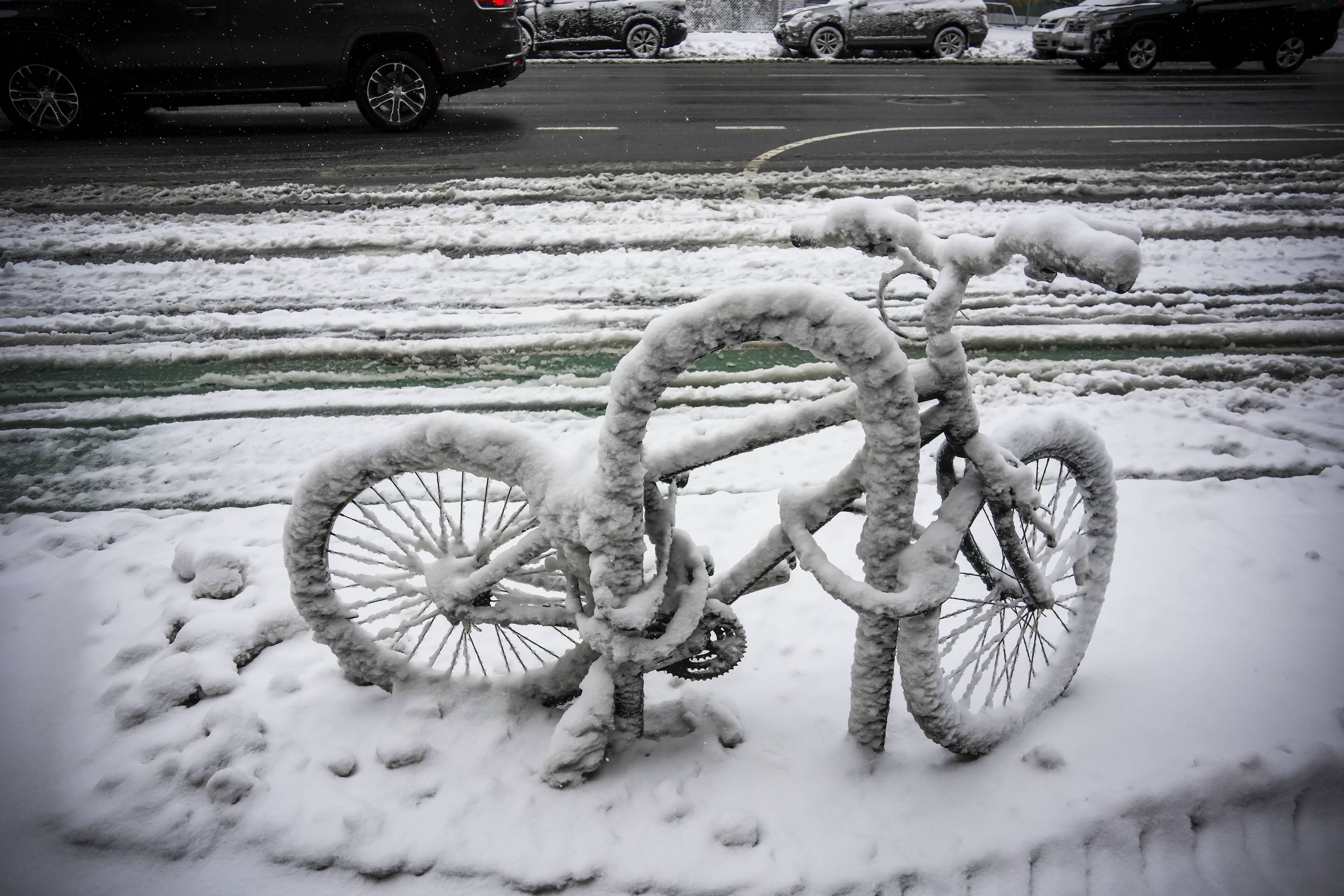 Zahlreiche US-Bundesstaaten haben den Notstand ausgerufen.