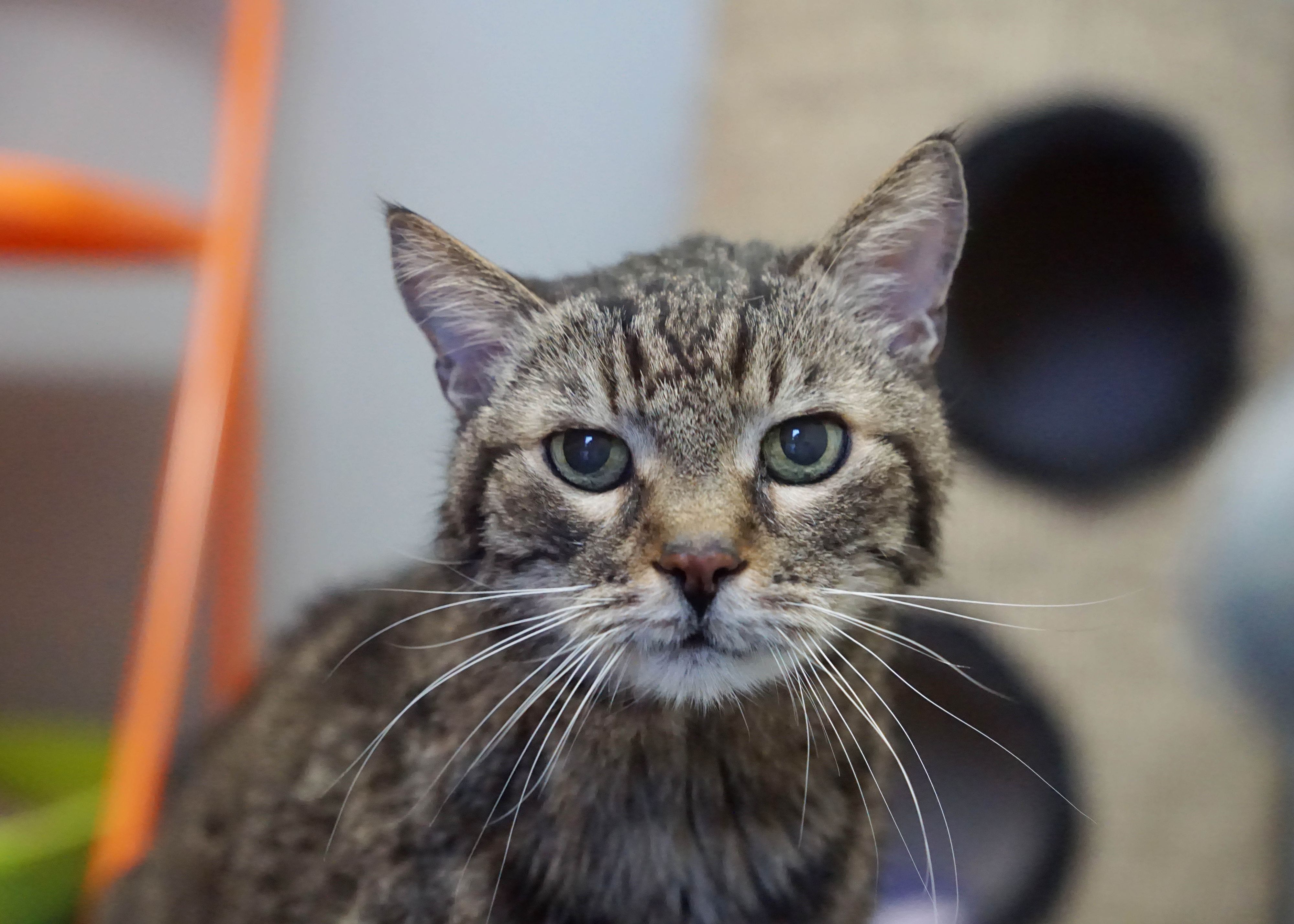 Wie viel zeit Hartmann noch hat, ist ungewiss.