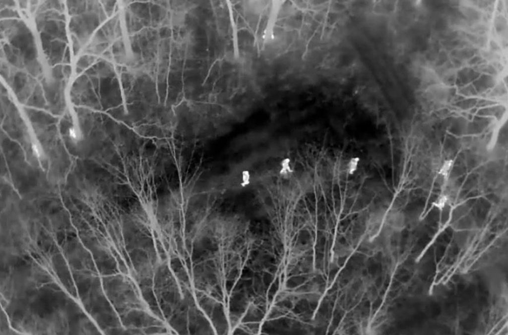 Bei einem internationalen Einsatz gegen den Menschenhandel kam es zu 3.700 Festnahmen. 