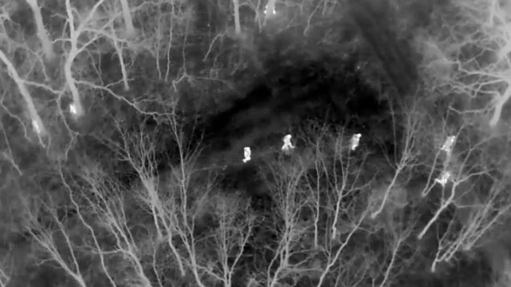 Heute.at - 3.700 Festnahmen! Großer Schlag gegen Menschenhandel