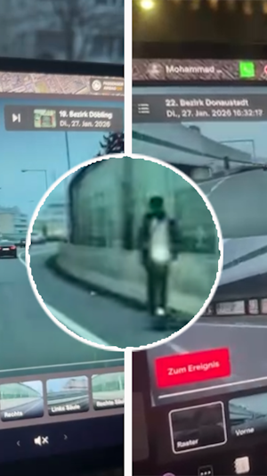 E-Scooter auf Autobahn: Wiener filmt gefährliche Irrfahrt eines Buben am Pannenstreifen. StVO-Regeln und Risiken im Überblick.