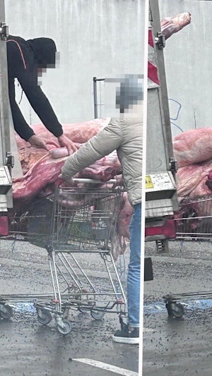 Hygiene-Skandal Wien: Kiloweise rohes Fleisch unsachgemäß transportiert. Marktamt prüft, Orient-Shop drohen Anzeigen wegen Verstößen.
