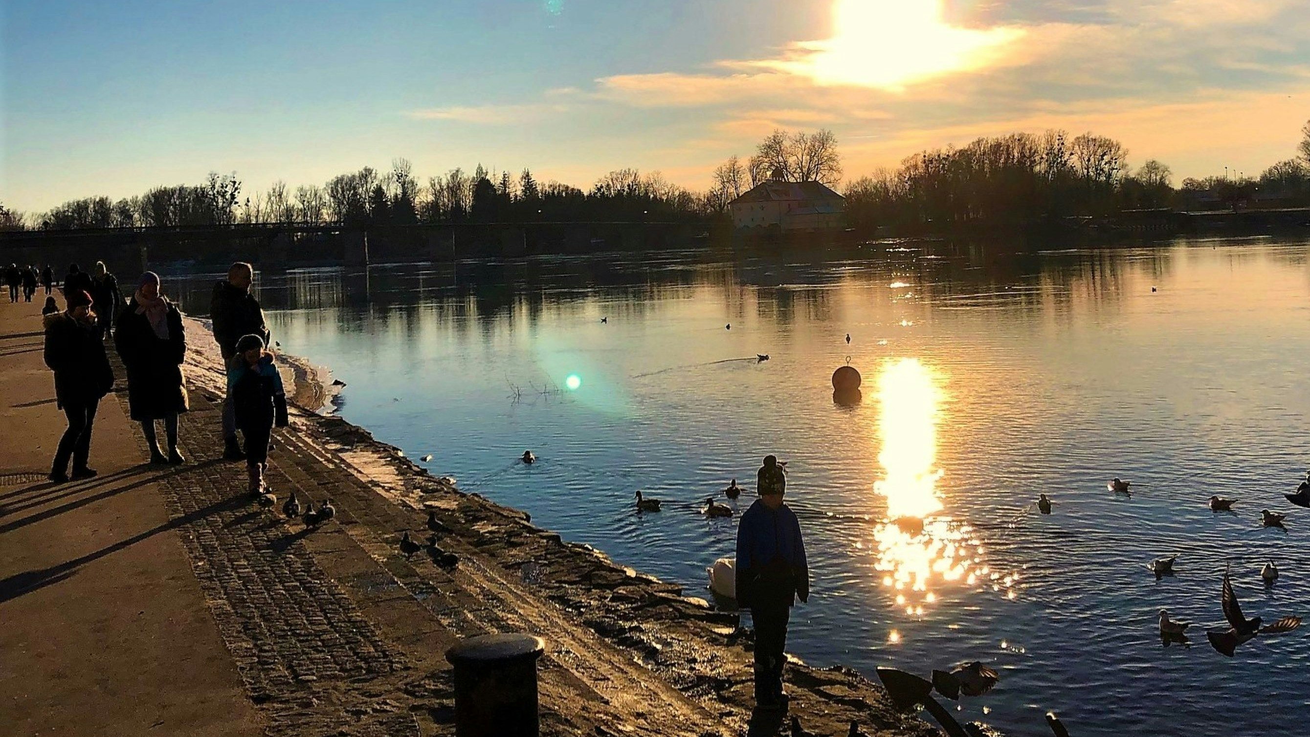 Heute.at - Frühlingsgefühle! Hier bringt Föhn fast 10 Grad Plus