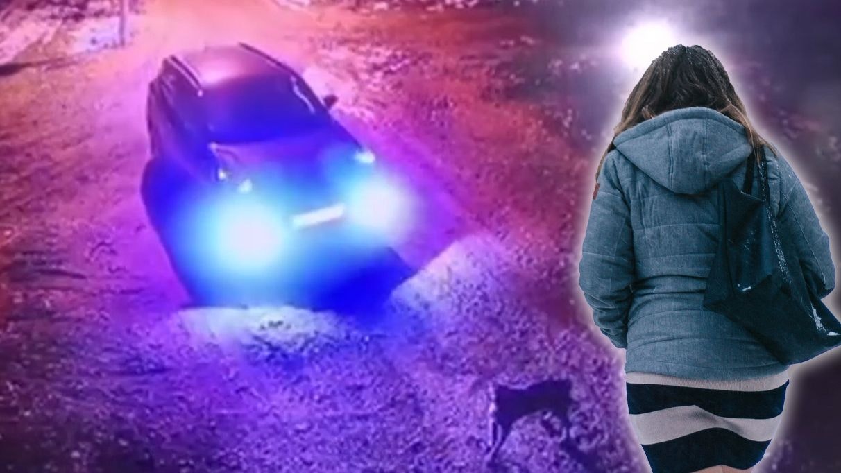 Heute.at - Hund bei Minusgraden ausgesetzt! Jetzt spricht Wienerin