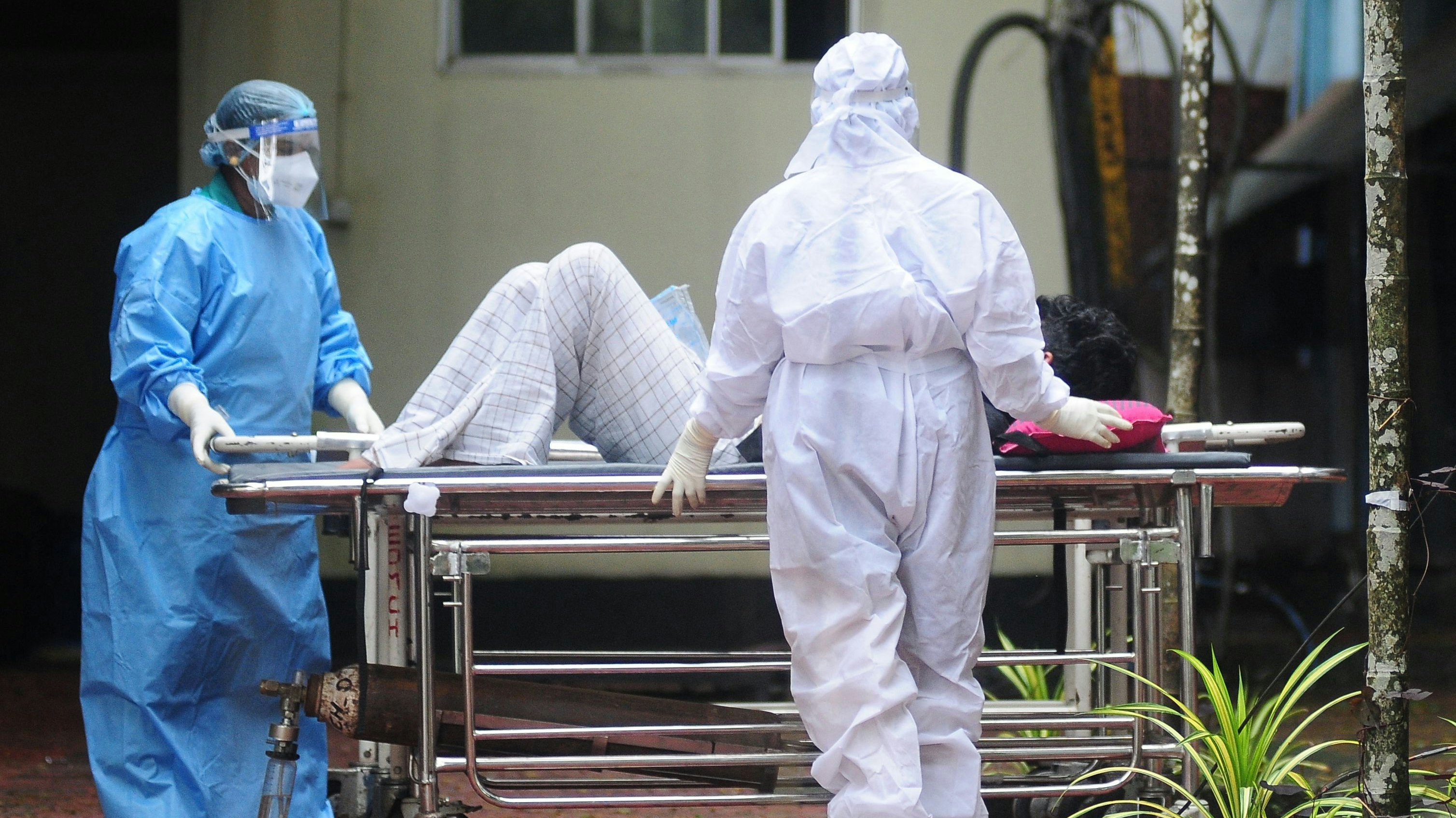 Heute.at - Alarm in Asien – 5 Menschen mit Nipahvirus infiziert