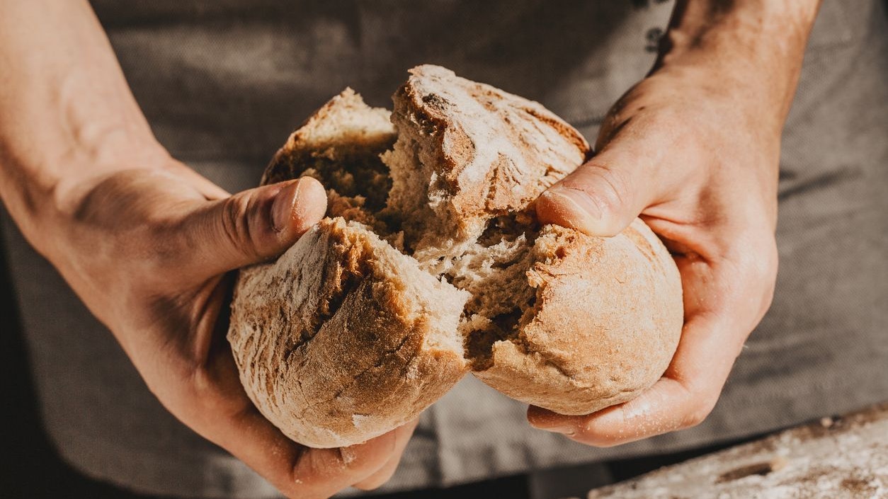 Baker or cooking chef holding fresh baked bread and breaking it in hands. Concept of cooking, successful businessman or start up. Closeup. Horizontal.
