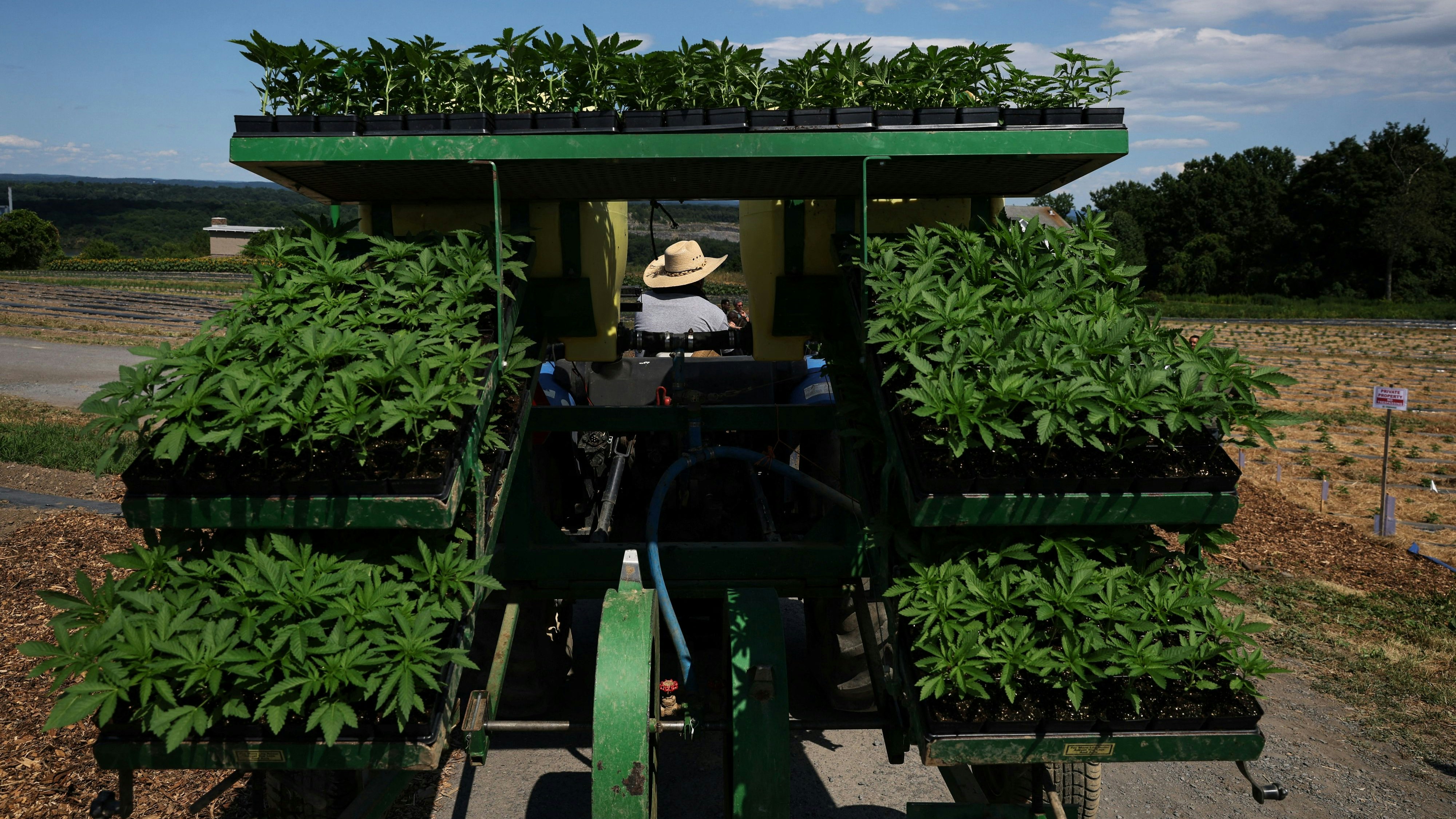 Heute.at - USA überschwemmen Europa mit billigen Drogen