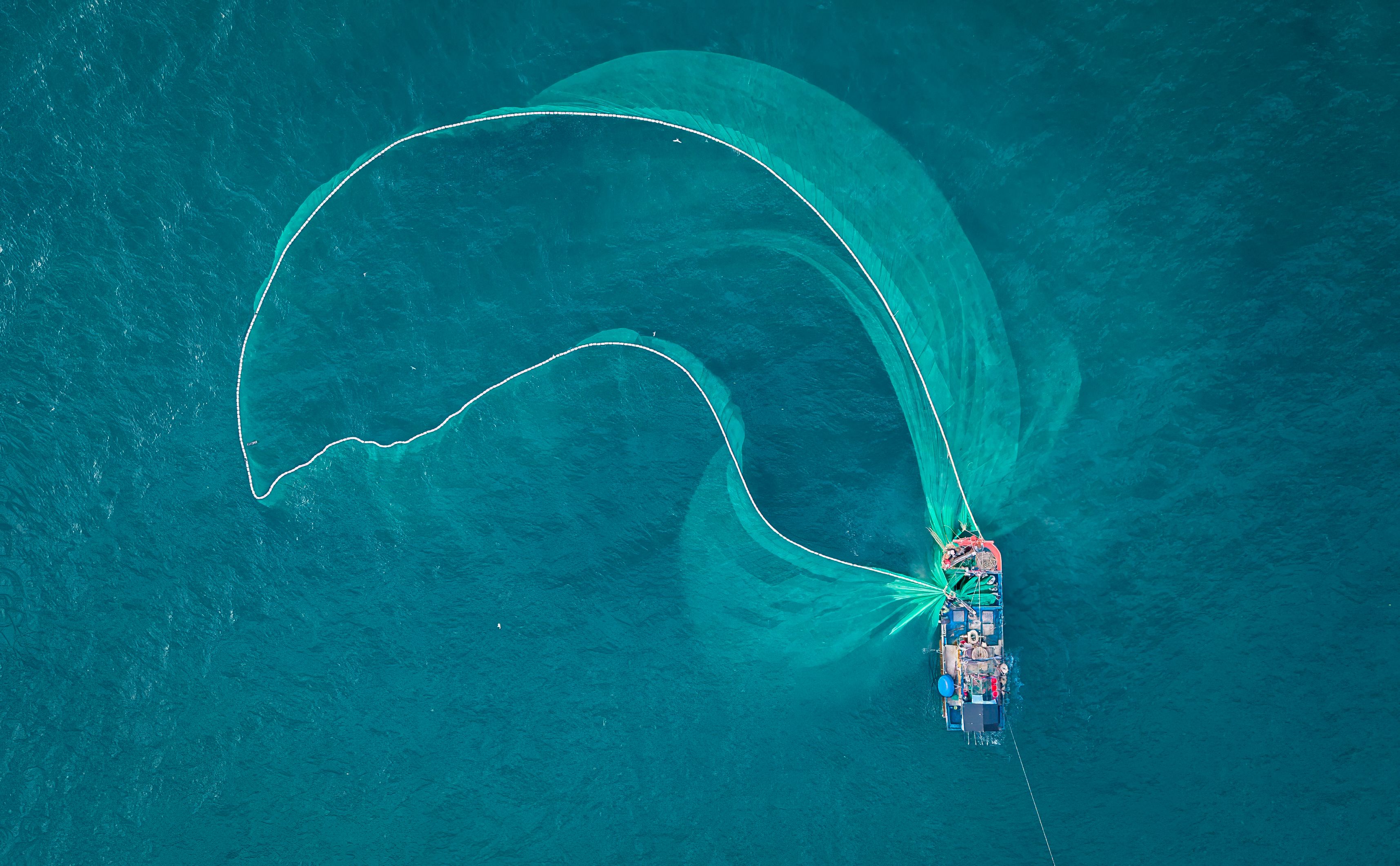 Fischnetze bedeuten immer noch Tod für viele Meeresbewohner, wie Delfine, Haie und Schildkröten. 