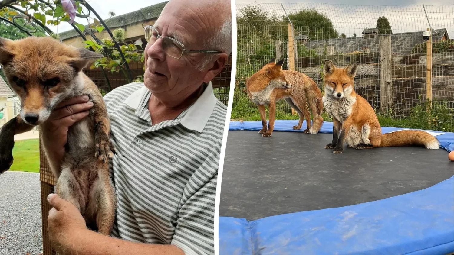 Heute.at - Nur vorübergehend - Nachbarn verklagen Tierschutz-Opa