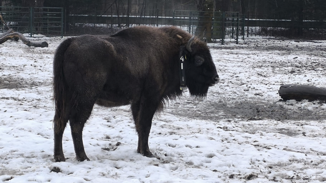 Heute.at - Von Tirol in die weite Welt: Ina in heikler Mission