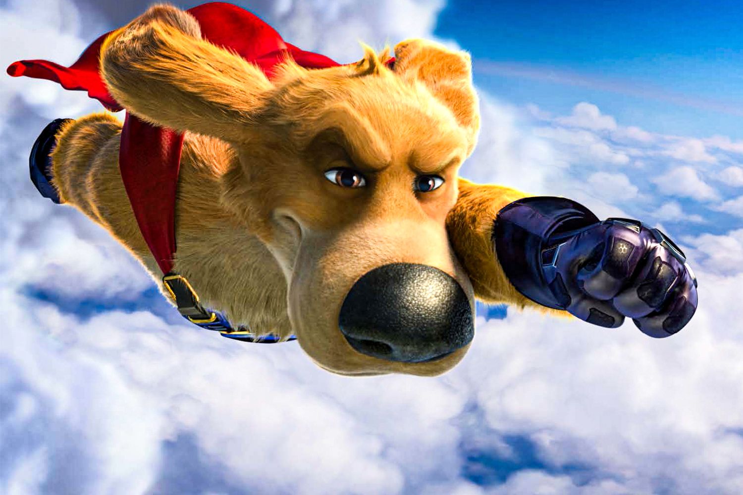 Ein Retriever mit Superkräften: "Charlie, der Superhund"