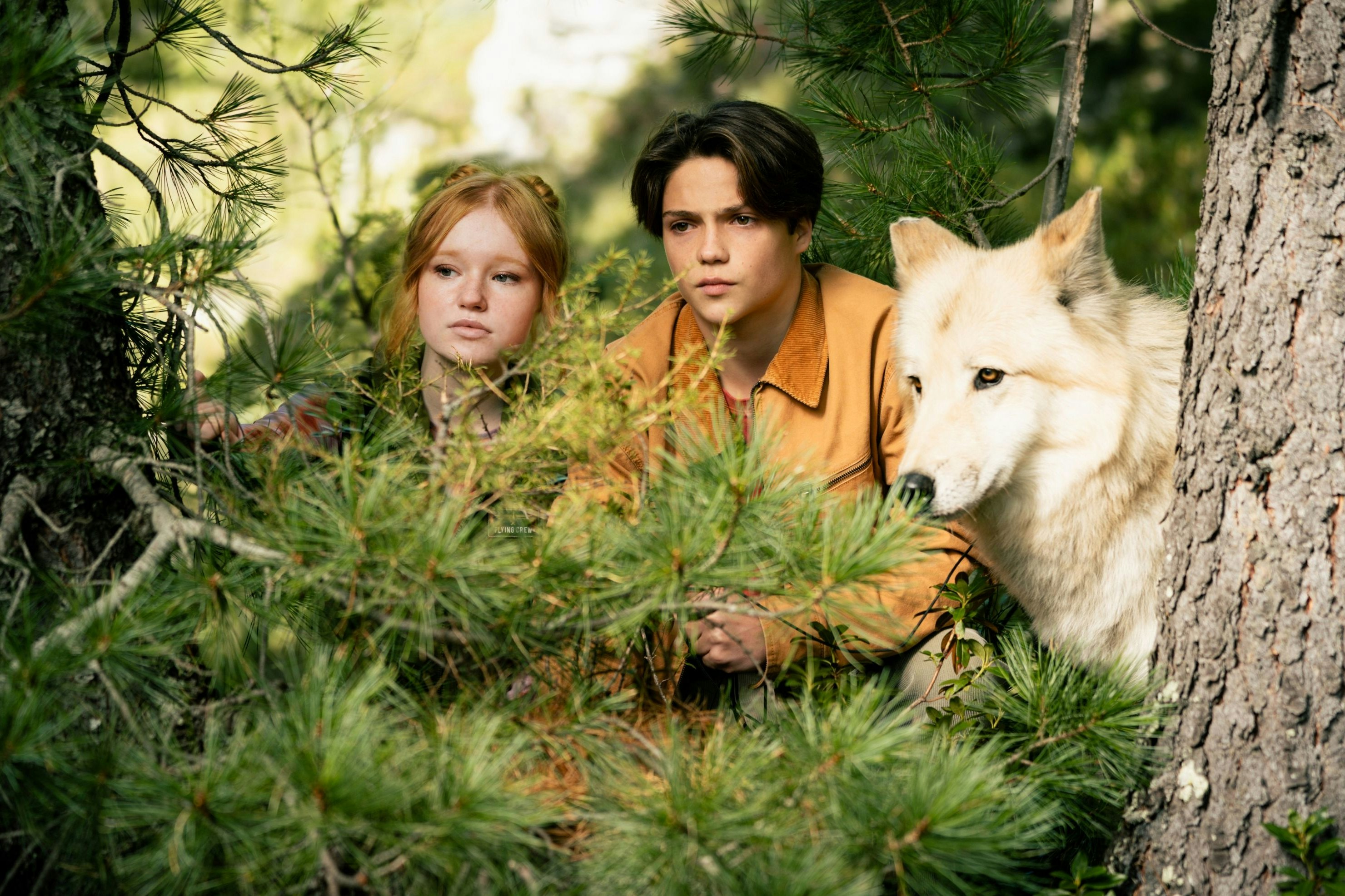 Carag (Emile Chérif, Mitte) und seine Freunde wollen ein Naturschutzgebiet retten: "Woodwalkers 2"