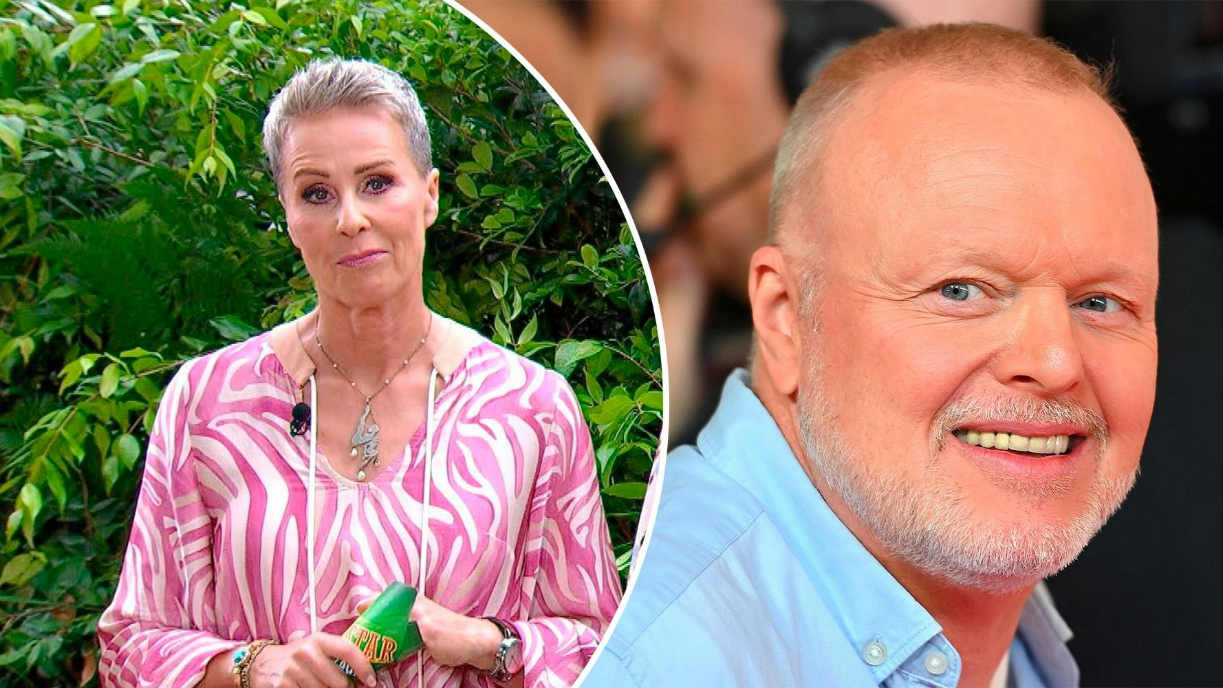 Heute.at - Botox-Queen – Raab attackiert Sonja, Fans sind sauer