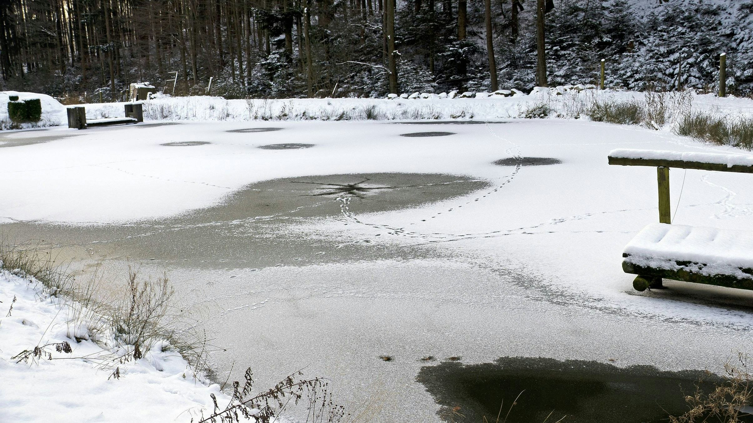 Heute.at - Drei Brüder ertranken in Teich – Mutter sah alles