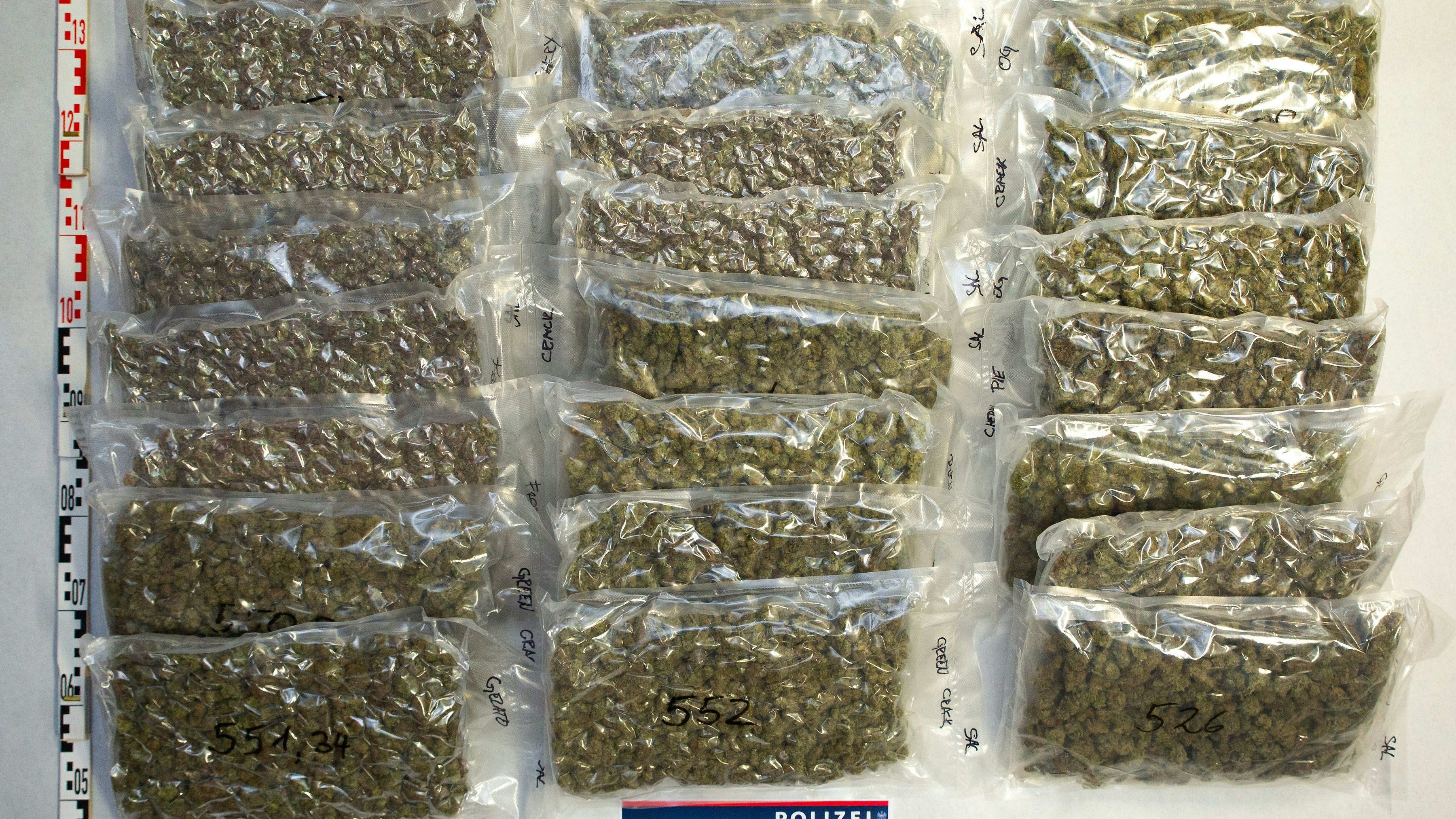 Heute.at - Lenker schmuggelte 13 Kilo Cannabis nach Österreich