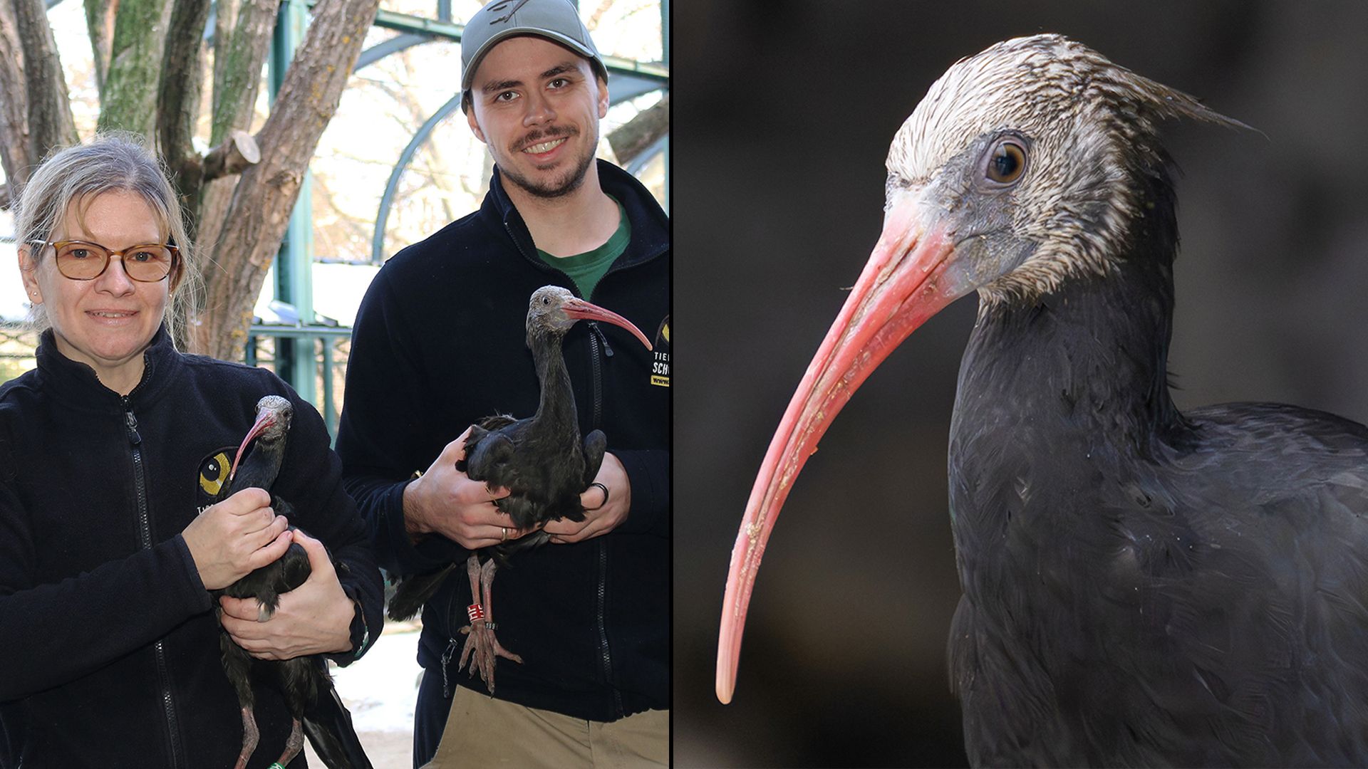 Auf Wiedersehen, ihr Lieben und ganz viel Glück in der Fremde. (li, Revierleiterin Petra Stefan und Tierpfleger Patrick Lang)