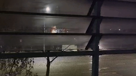 Anrainer vor einem Baumarkt in der Wiener Donaustadt können quietschende Autoreifen nicht mehr hören.