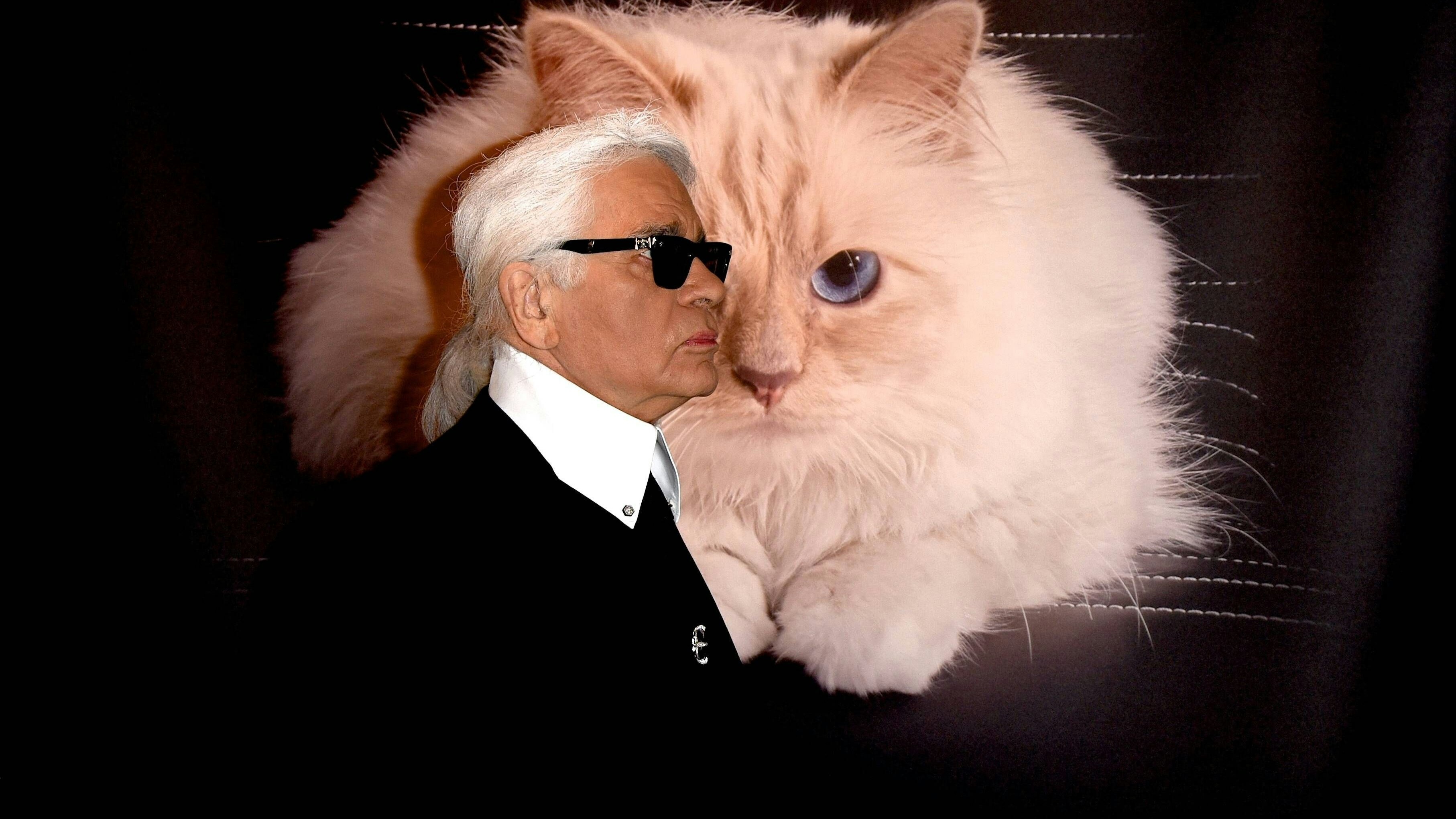 Heute.at - Katze sollte erben! Lagerfeld-Testament nun angefochten