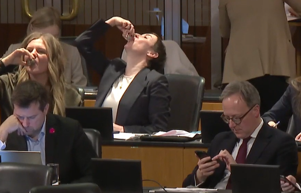 Lisa Aldali und Henrike Brandstötter exen Stanperl im Nationalrat.