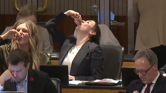 Heute.at - Hier exen Neos-Abgeordnete Stamperl im Nationalrat