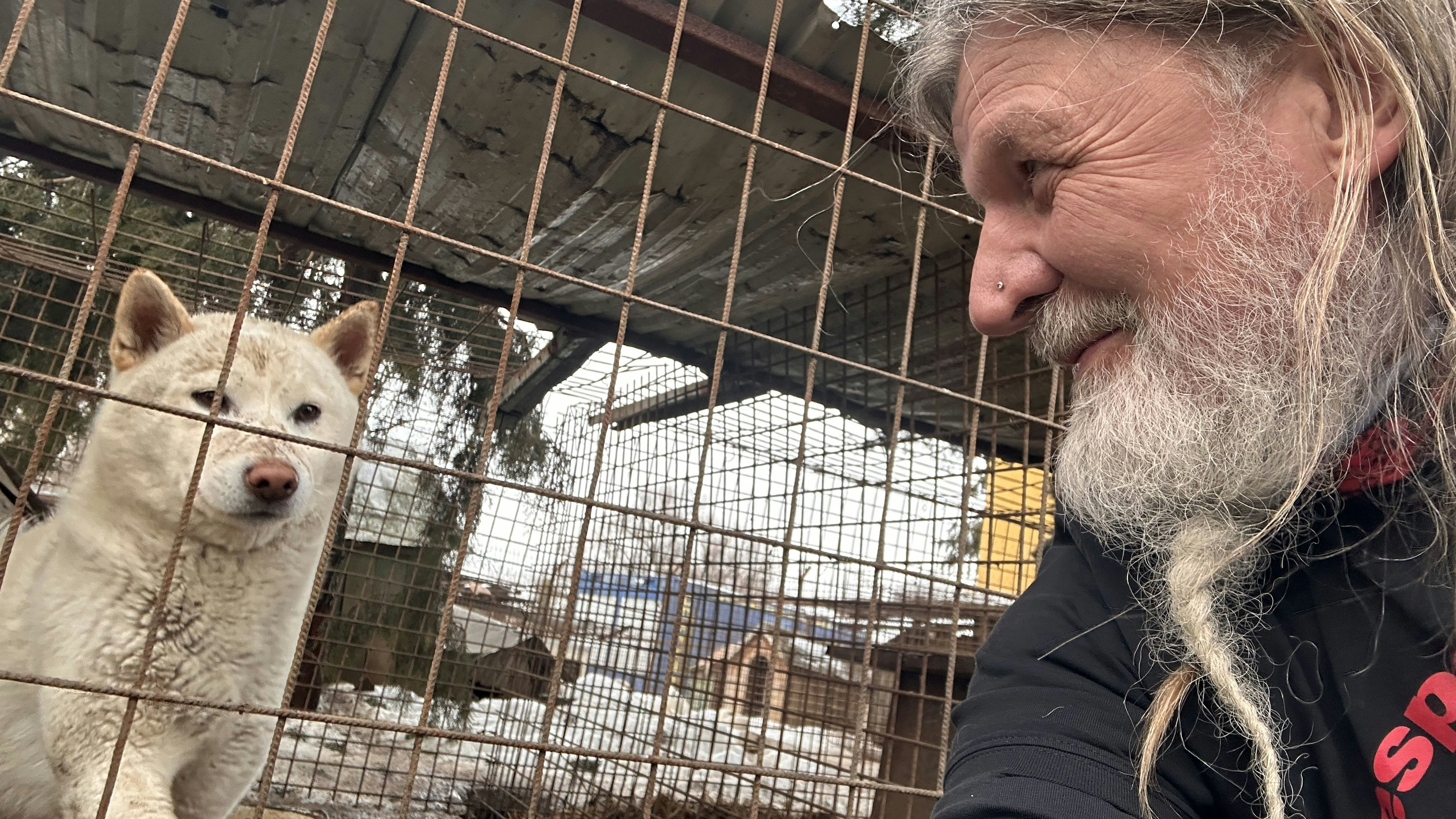 Putzgruber im Tierasyl von Helferin Enikö in Ungarn.