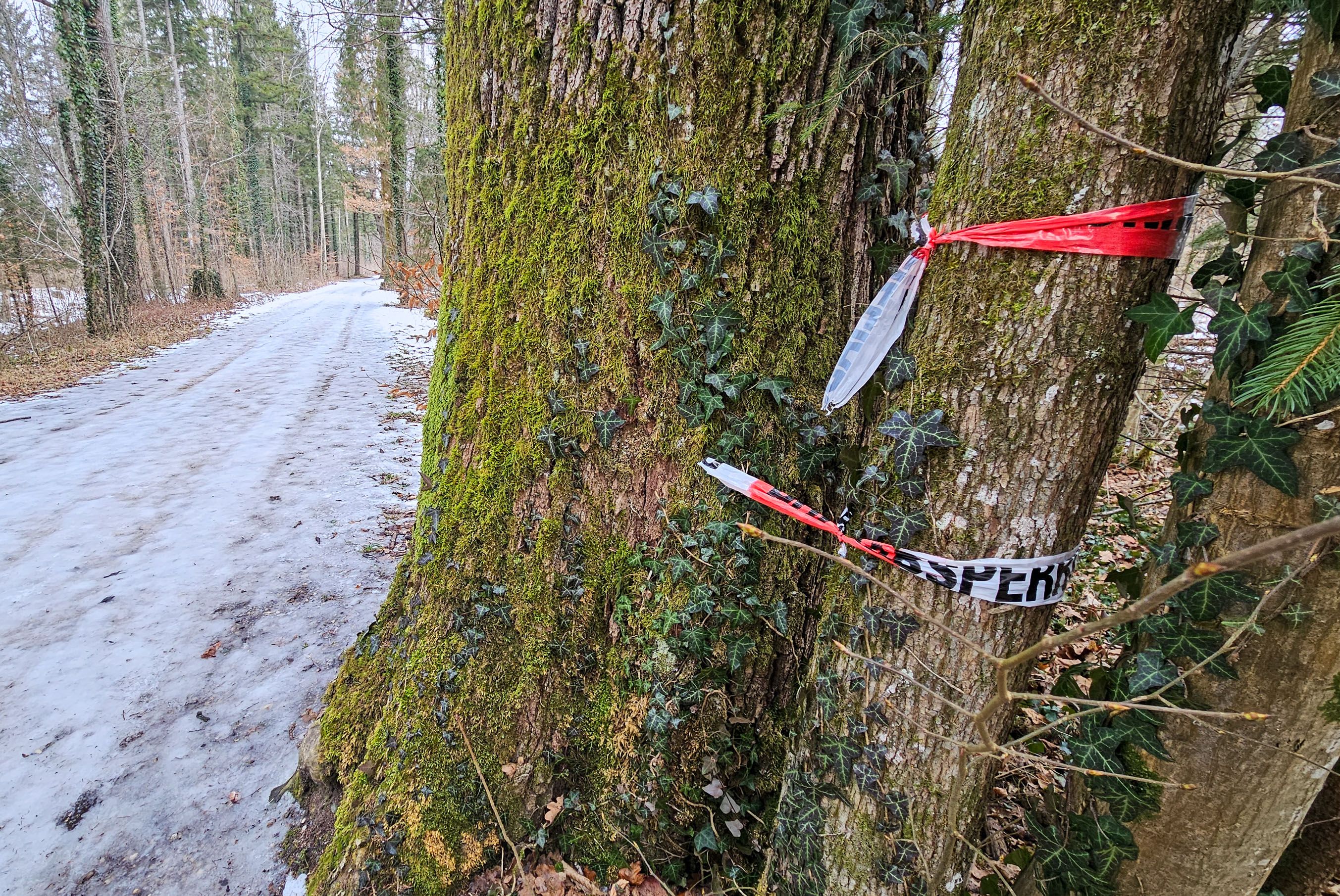 Heute.at - Soldat lag blutverschmiert in Wald – Rätsel um Bluttat