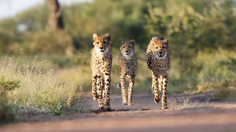 Heute.at - Diese Mumien erzählen eine ganz besondere Geschichte