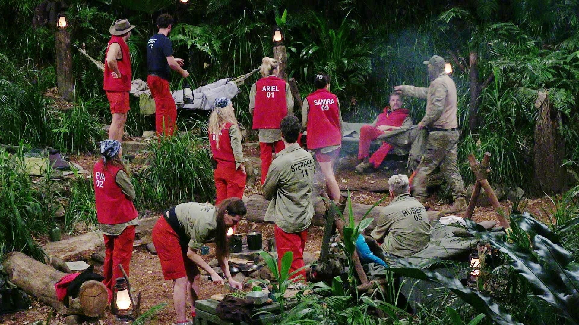 Heute.at - Alle überrascht! SIE fliegt plötzlich aus Dschungelcamp