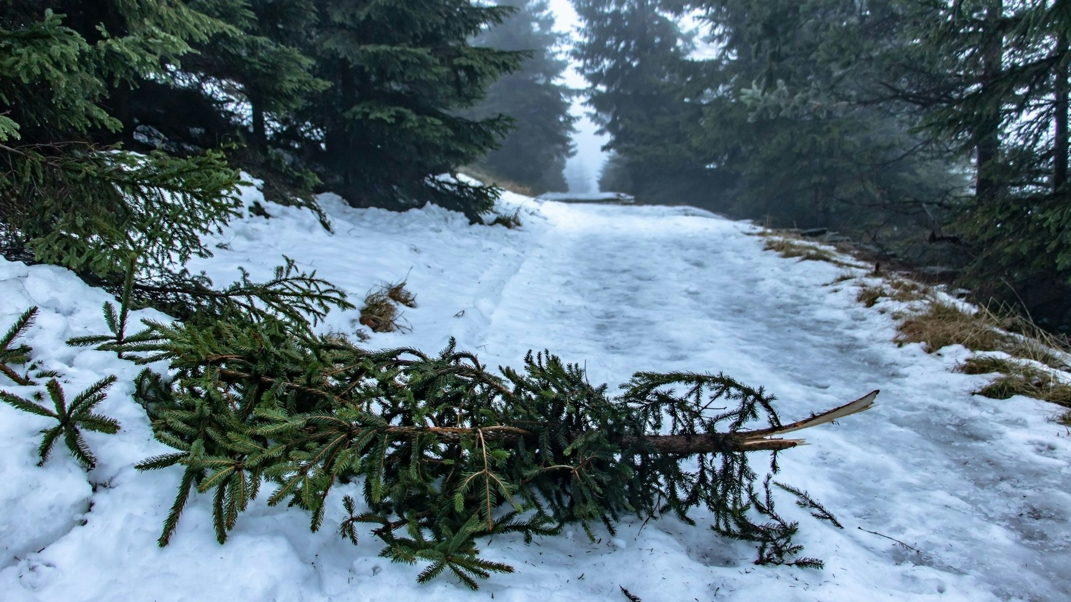 Achtung in den Alpen! Es wird stürmisch!