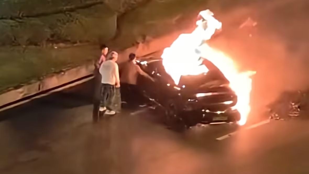 China verbietet sie – und wir?