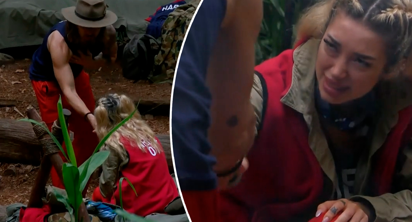 Heute.at - Das könnte Dschungel verändern: Ariel gibt Gil die Hand