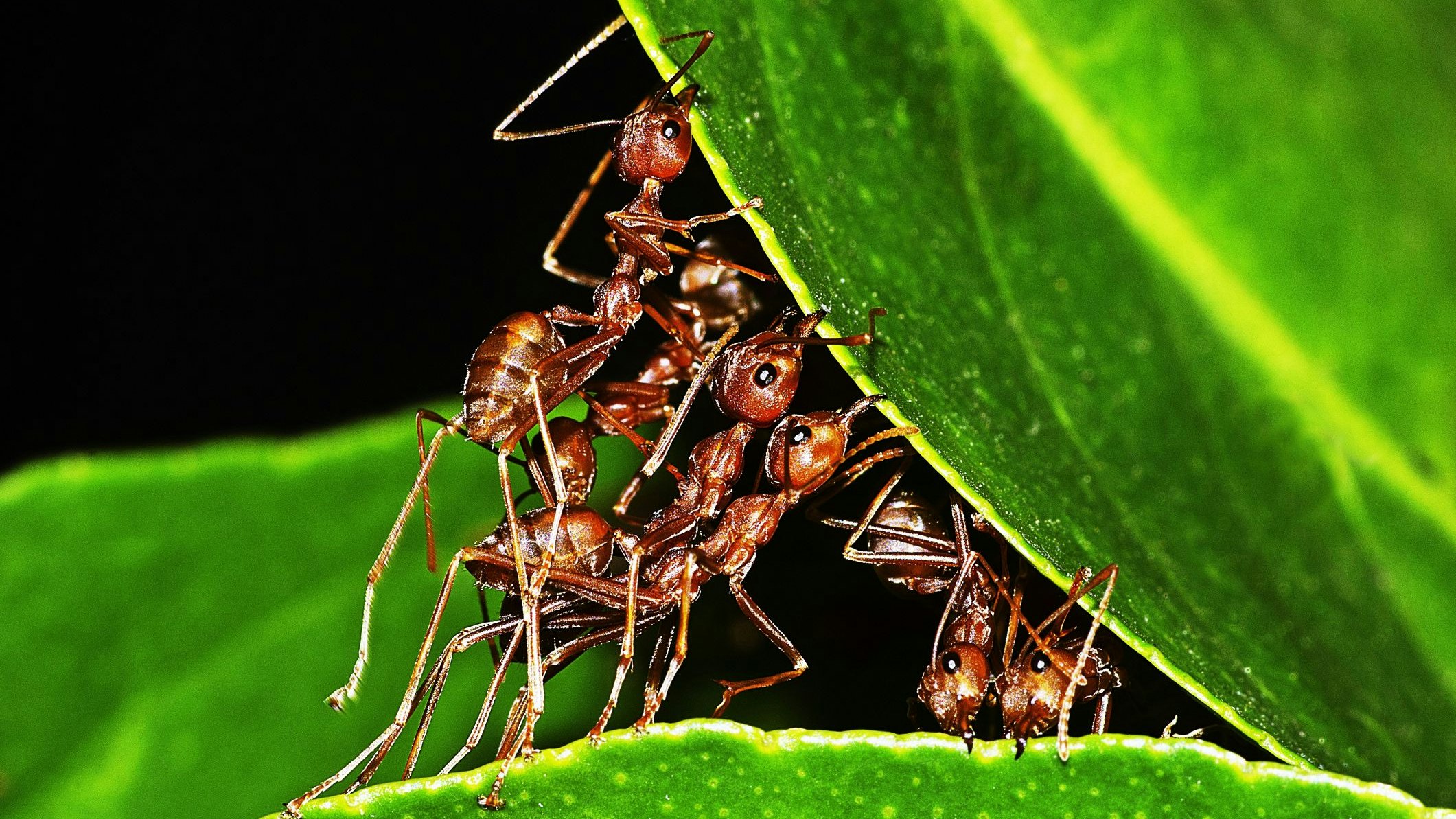 Heute.at - Du stinkst – wer anders riecht, wird abgestoßen