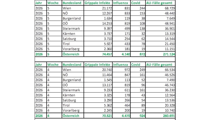 Die Zahl der Krankmeldungen aufgrund von grippalen Infekten ist gestiegen.
