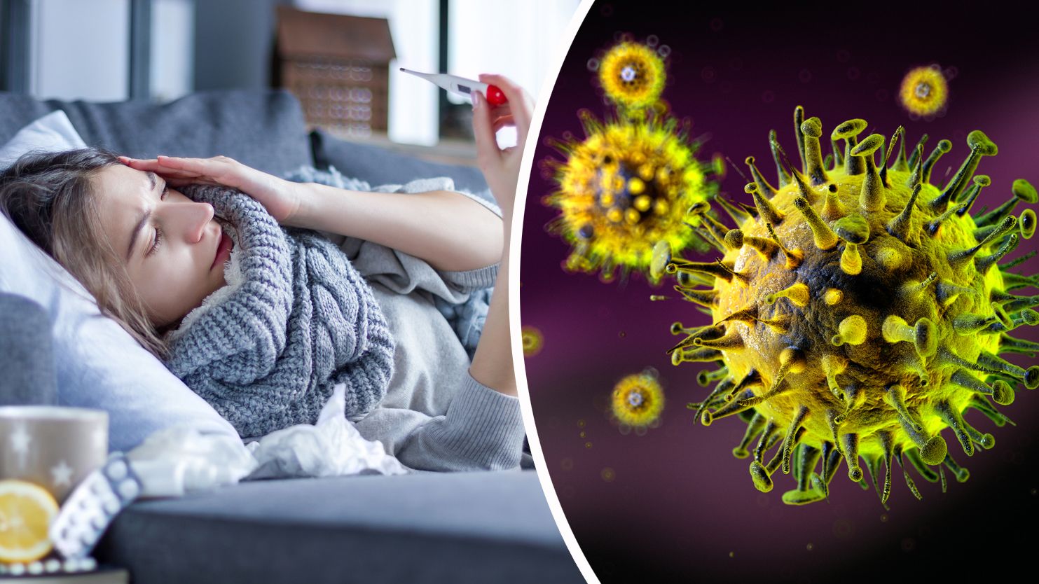 Die Aktivität der Influenzaviren bleibt in Österreich weiterhin auf hohem Niveau.