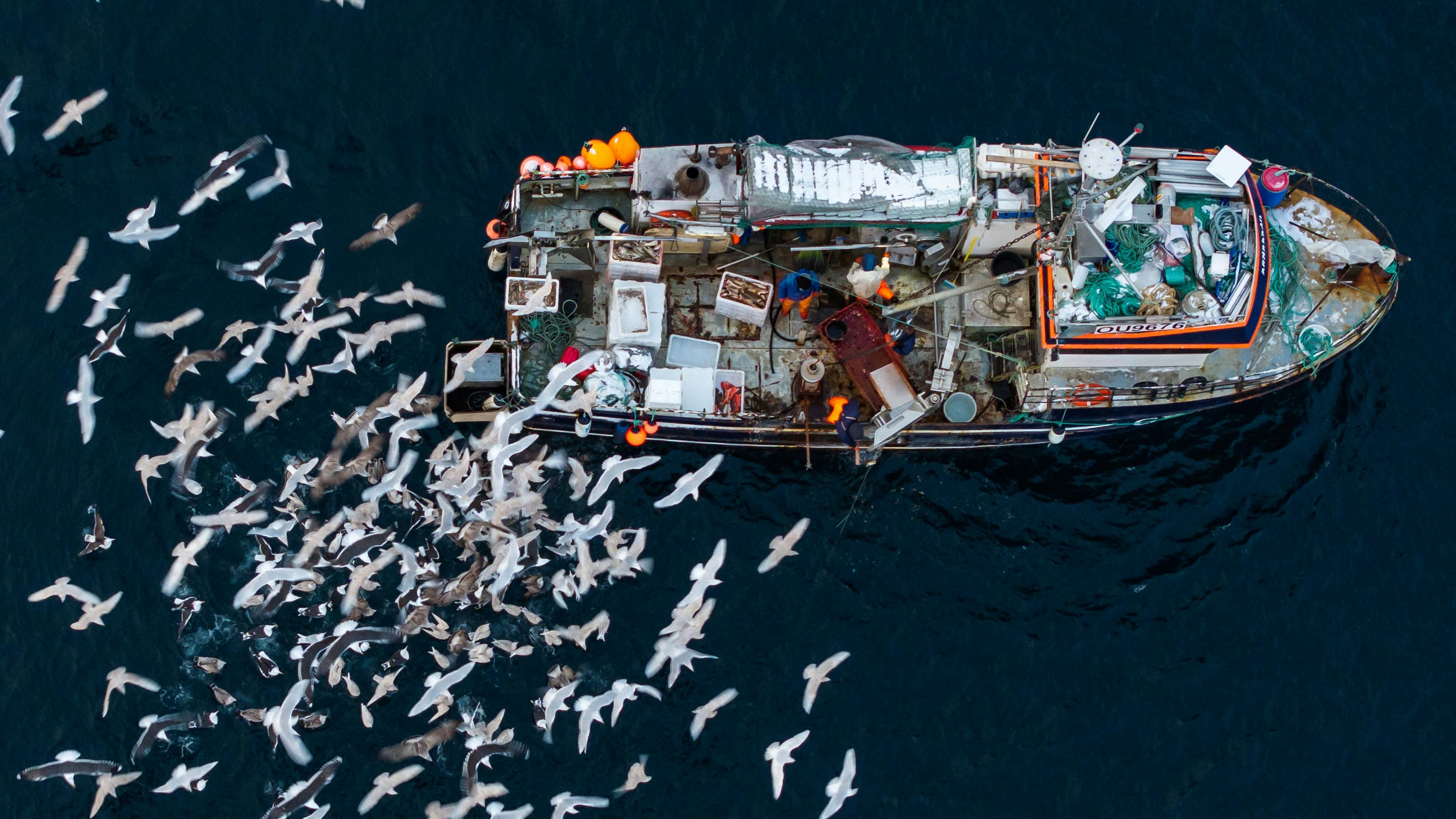 Heute.at - Bei diesem Job sterben pro Jahr 100.000 Menschen