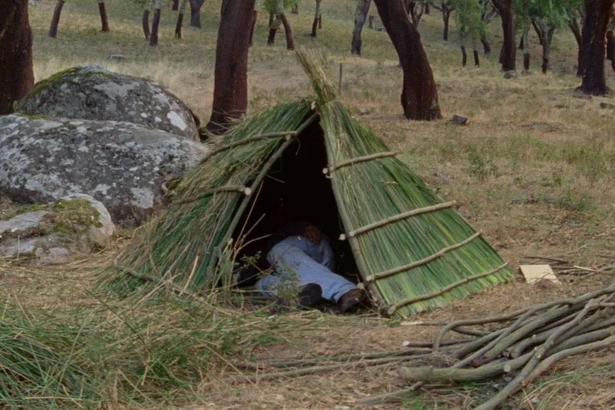 Kein Film für Zwischendurch, sondern eine experimentelle Reise: "Die Jahreszeiten"