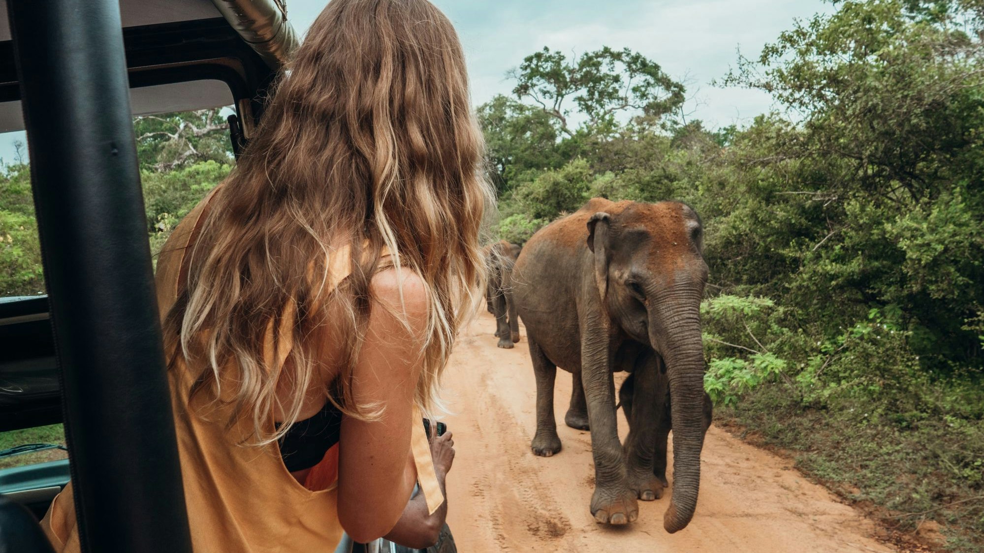 Heute.at - Tod durch Elefant! Das sind jetzt die Konsequenzen
