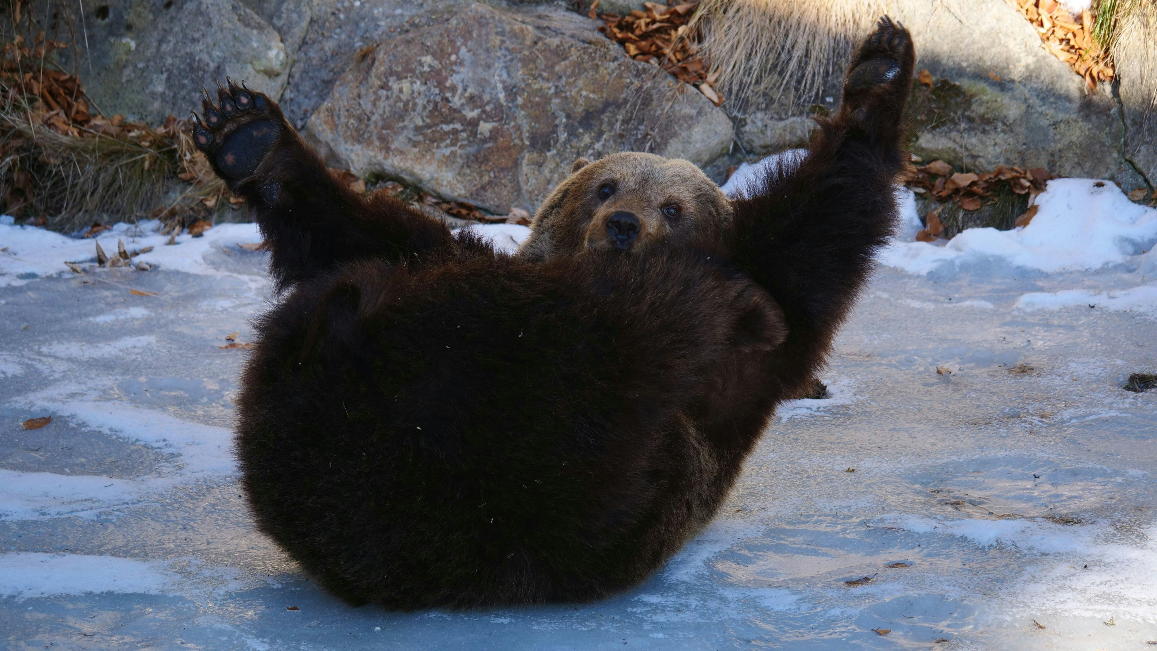 Der Schnee war für "Mici" ein besonderes Highlight.
