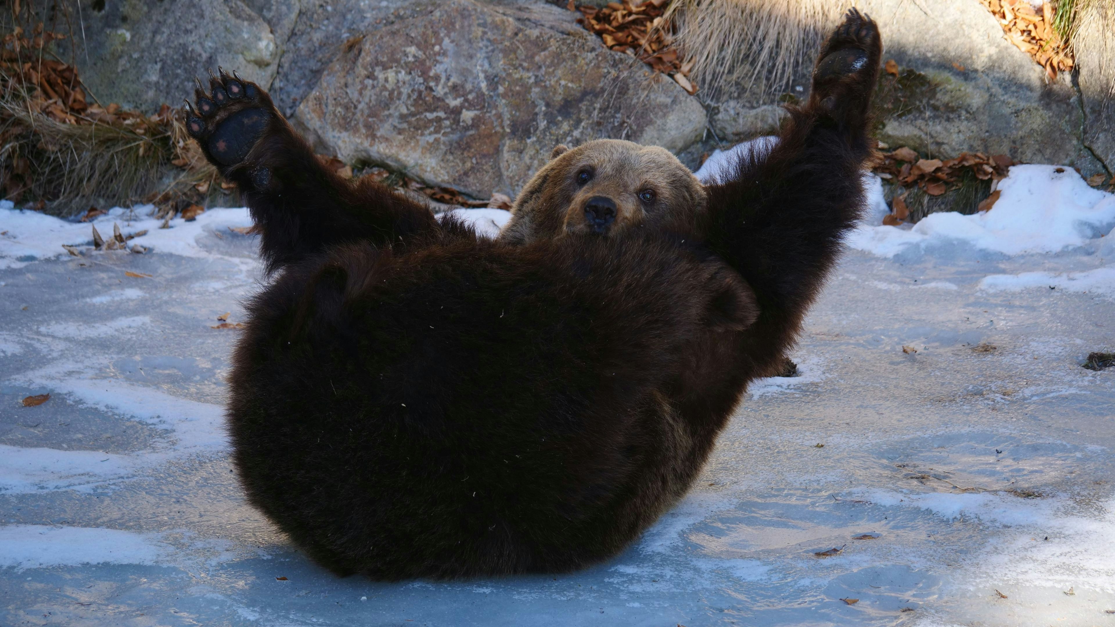"Jede Zelle meines Körpers fühlt sich wohl ..." Bravo, "Mici" 