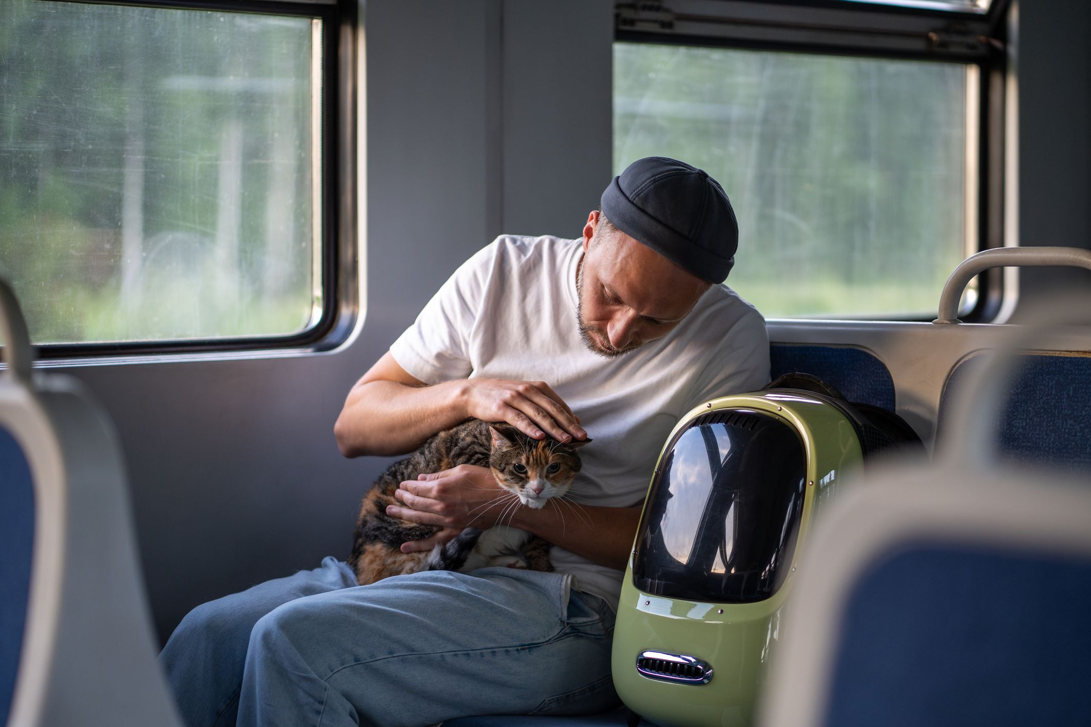 In China reisen Katzen und Hunde unter 15 Kilogramm auf ganz besondere Weise. 