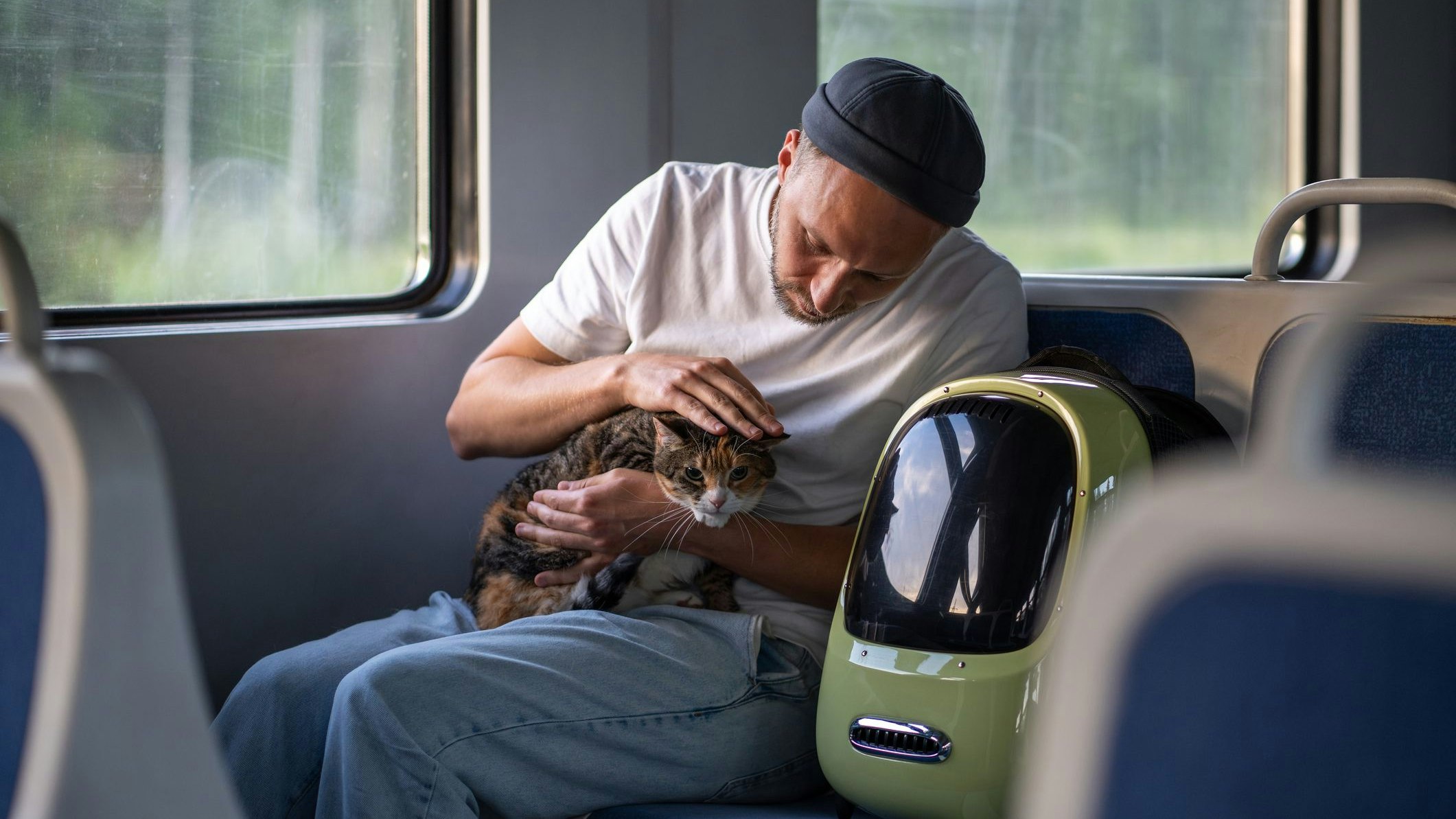 In China reisen Katzen und Hunde unter 15 Kilogramm auf ganz besondere Weise. 