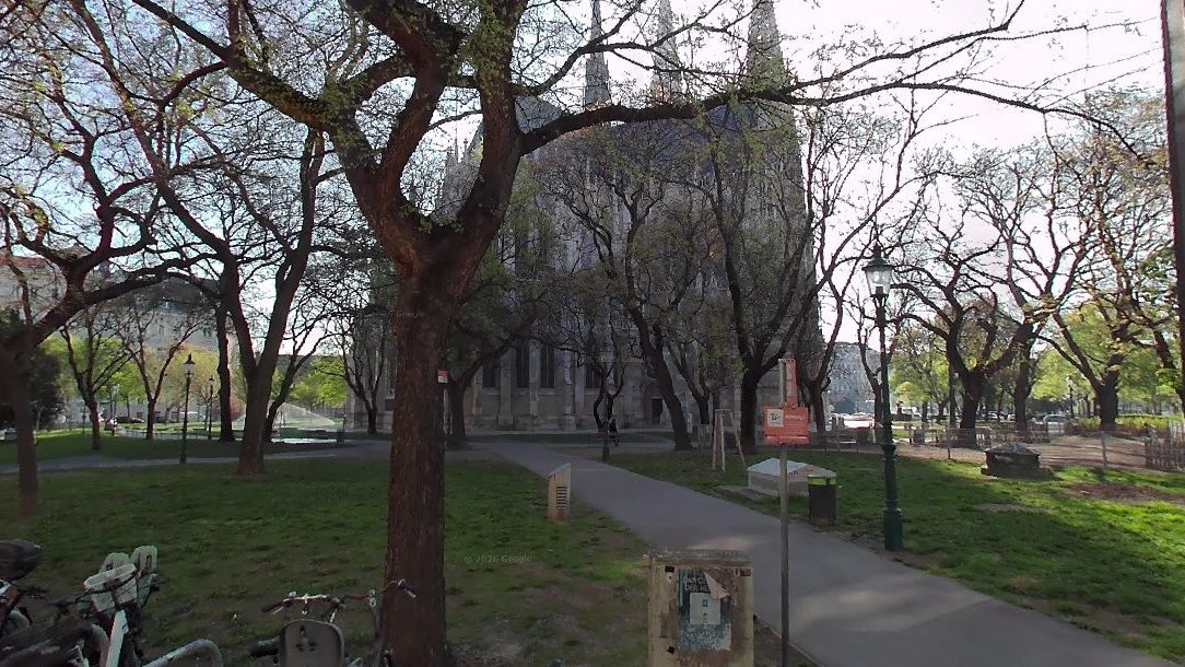 Mitten im Wiener Votivpark wurde der verletzte Welpe gefunden.