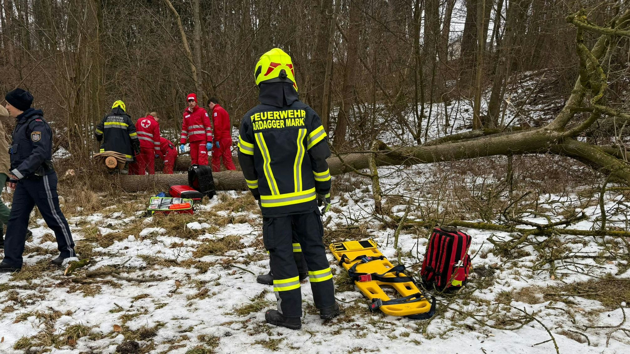 Heute.at - Schwer verletzt! Baum fällt bei Arbeiten auf Mann (66)